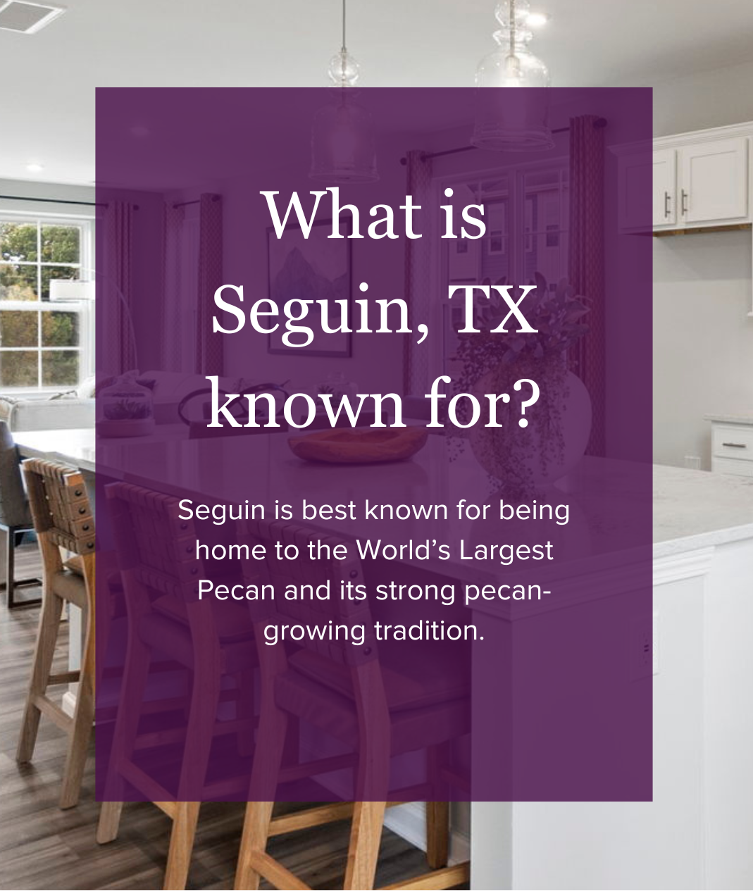 Seguin is home to the world's largest pecan