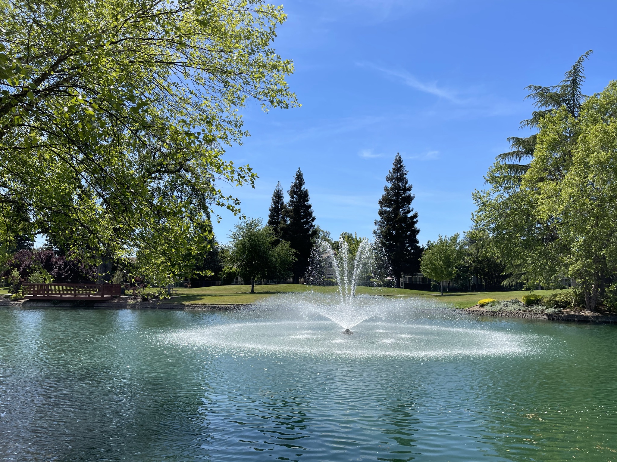 A fountain in a pond.