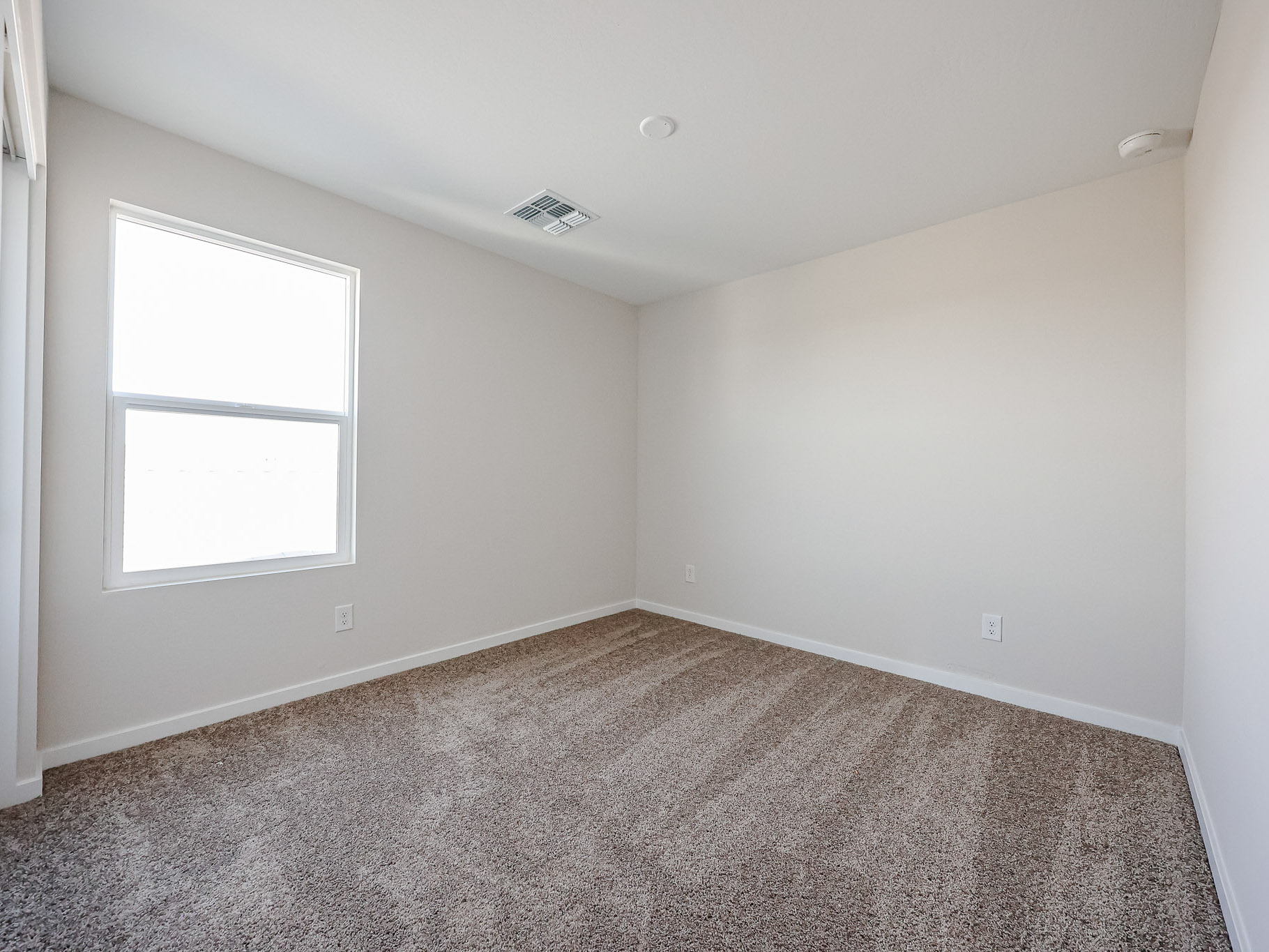 A room with a carpet and windows.