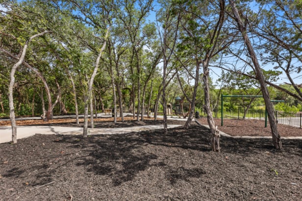 A dirt path with trees on either side of it.